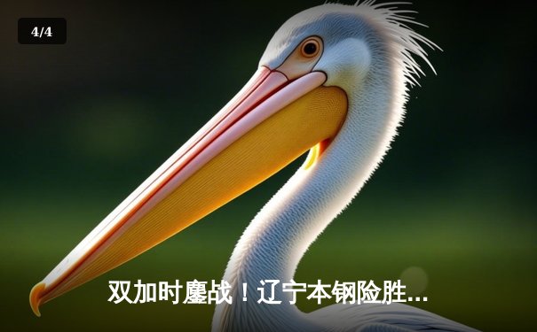 双加时鏖战！辽宁本钢险胜广东宏远，赵继伟37分创生涯新高 - 4